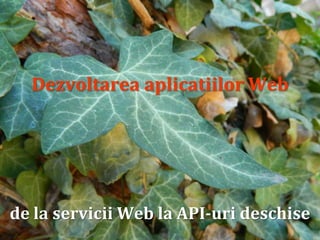 Dr.SabinBuragawww.purl.org/net/busaco
Dezvoltarea aplicatiilor Web
de la servicii Web la API-uri deschise
 