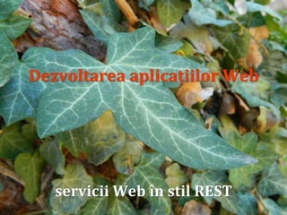 servicii Web în stil REST

Dr. Sabin Buragawww.purl.org/net/busaco

Dezvoltarea aplicațiilor Web

 