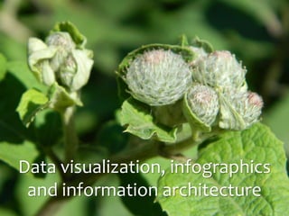 Alecsandru Grigoriupxdotpt.com

Data visualization, infographics
and information architecture

 