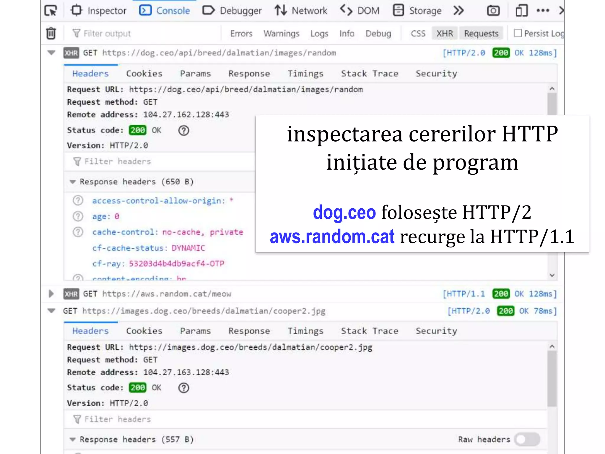 Dr.SabinBuragaprofs.info.uaic.ro/~busaco
inspectarea cererilor HTTP
inițiate de program
dog.ceo folosește HTTP/2
aws.random.cat recurge la HTTP/1.1
 