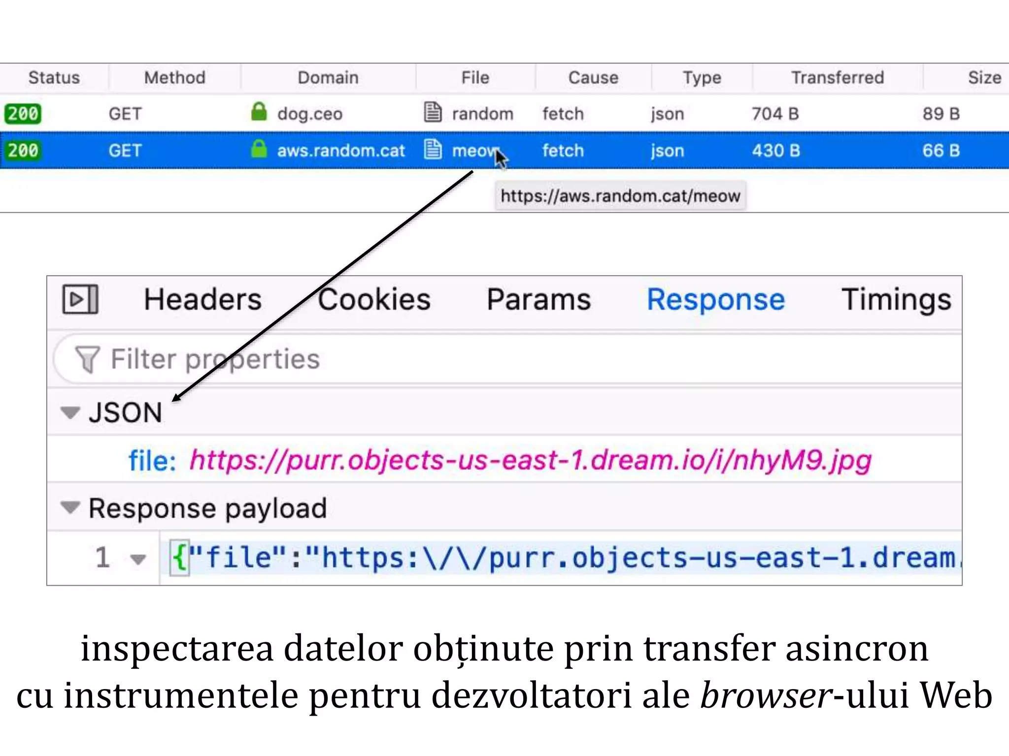Dr.SabinBuragaprofs.info.uaic.ro/~busaco
inspectarea datelor obținute prin transfer asincron
cu instrumentele pentru dezvoltatori ale browser-ului Web
 