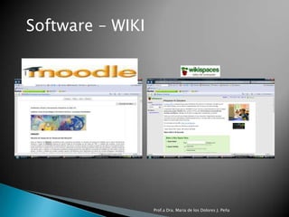 Software – WIKIProf.a Dra. Maria de los Dolores J. Peña