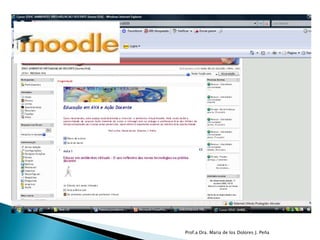 Prof.a Dra. Maria de los Dolores J. Peña