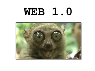 WEB 1.0

 
