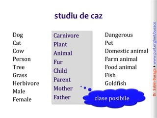 Dr.SabinBuragawww.purl.org/net/busaco
studiu de caz
Dog
Cat
Cow
Person
Tree
Grass
Herbivore
Male
Female
Dangerous
Pet
Domestic animal
Farm animal
Food animal
Fish
Goldfish
Carnivore
Plant
Animal
Fur
Child
Parent
Mother
Father clase posibile
 