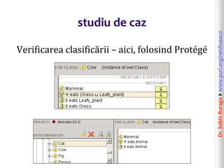 Dr.SabinBuragawww.purl.org/net/busaco
studiu de caz
Verificarea clasificării – aici, folosind Protégé
 
