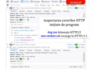 Dr.SabinBuragaprofs.info.uaic.ro/~busaco/
inspectarea cererilor HTTP
inițiate de program
dog.ceo folosește HTTP/2
aws.random.cat recurge la HTTP/1.1
avansat
 
