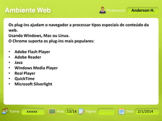 Anderson H.
Os plug-ins ajudam o navegador a processar tipos especiais de conteúdo da
web.
Usando Windows, Mac ou Linux.
O Chrome suporta os plug-ins mais populares:
•
•
•
•
•
•
•

Adobe Flash Player
Adobe Reader
Java
Windows Media Player
Real Player
QuickTime
Microsoft Silverlight

Turma:

xxxxxx

2503-B

Aula:

10

Pág:

10 a 17

13/14
Instrutor: Ricardo Paladini Matos

Data:

18-jan-12

2/1/2014

 