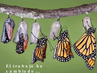 El trabajo ha cambiado…. 