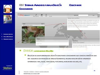 03.1   Sistemas Avanzados para la Creación  Colectiva de Conocimiento EducaLab,  la propuesta de EducaRed EducaLab es una plataforma de creación colectiva de conocimiento que conecta a través de una red a usuarios con proyectos de trabajo (contenidos, recursos educativos) de naturaleza hipertextual: wiki, blogs, video blogs, podcasting, marcadores sociales, etc . 