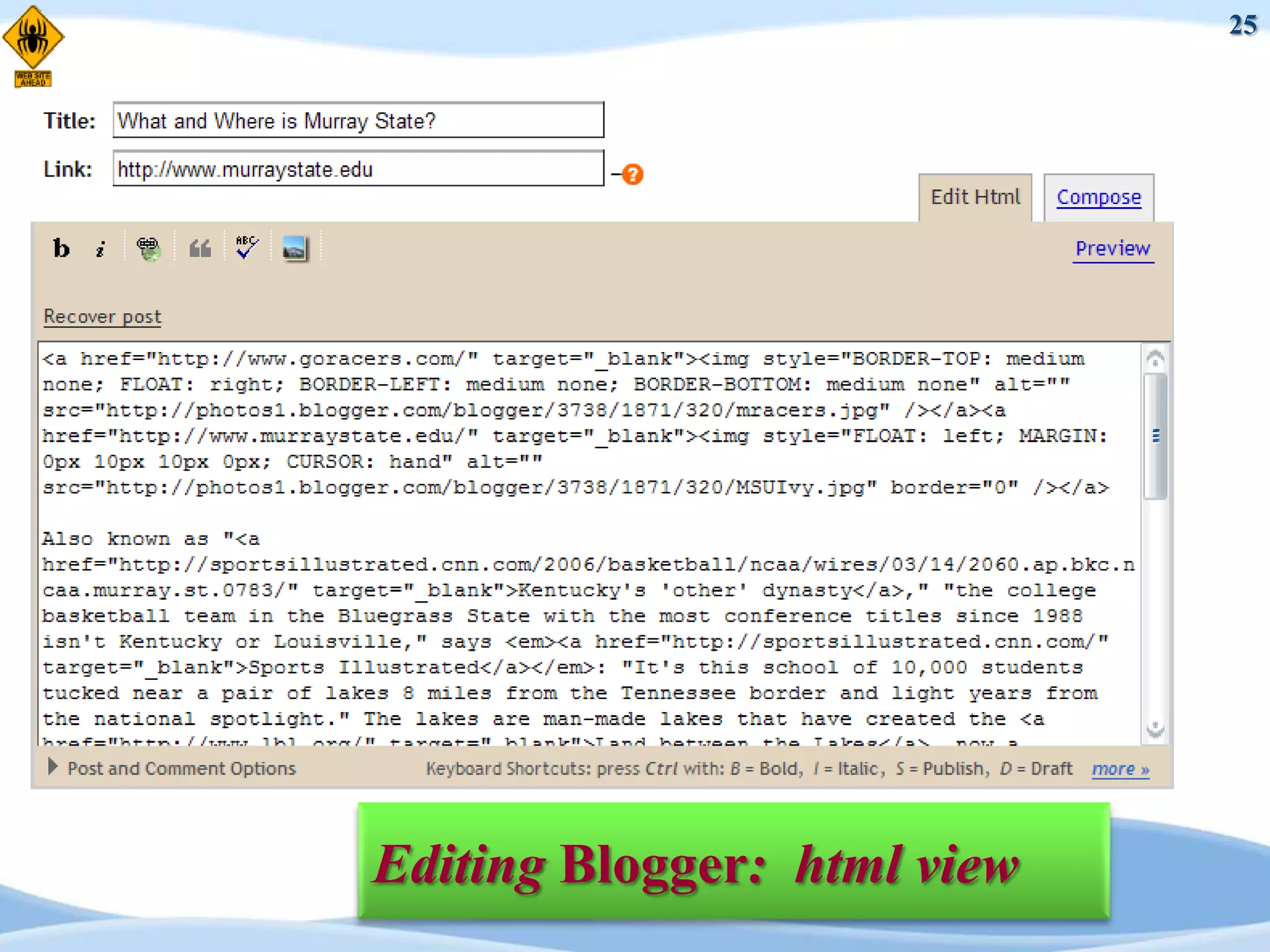 25




Editing Blogger: html view
 