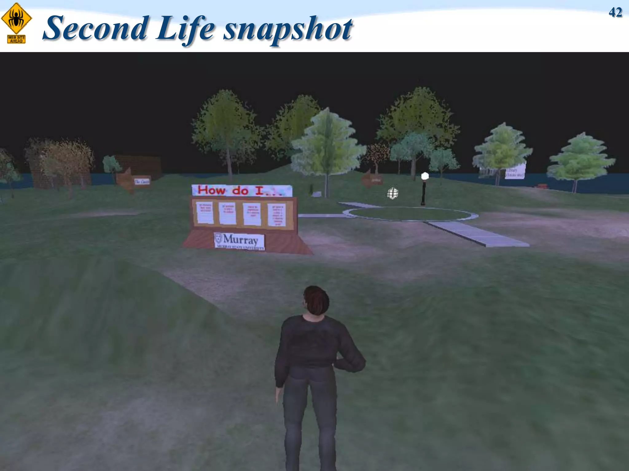 42
Second Life snapshot
 
