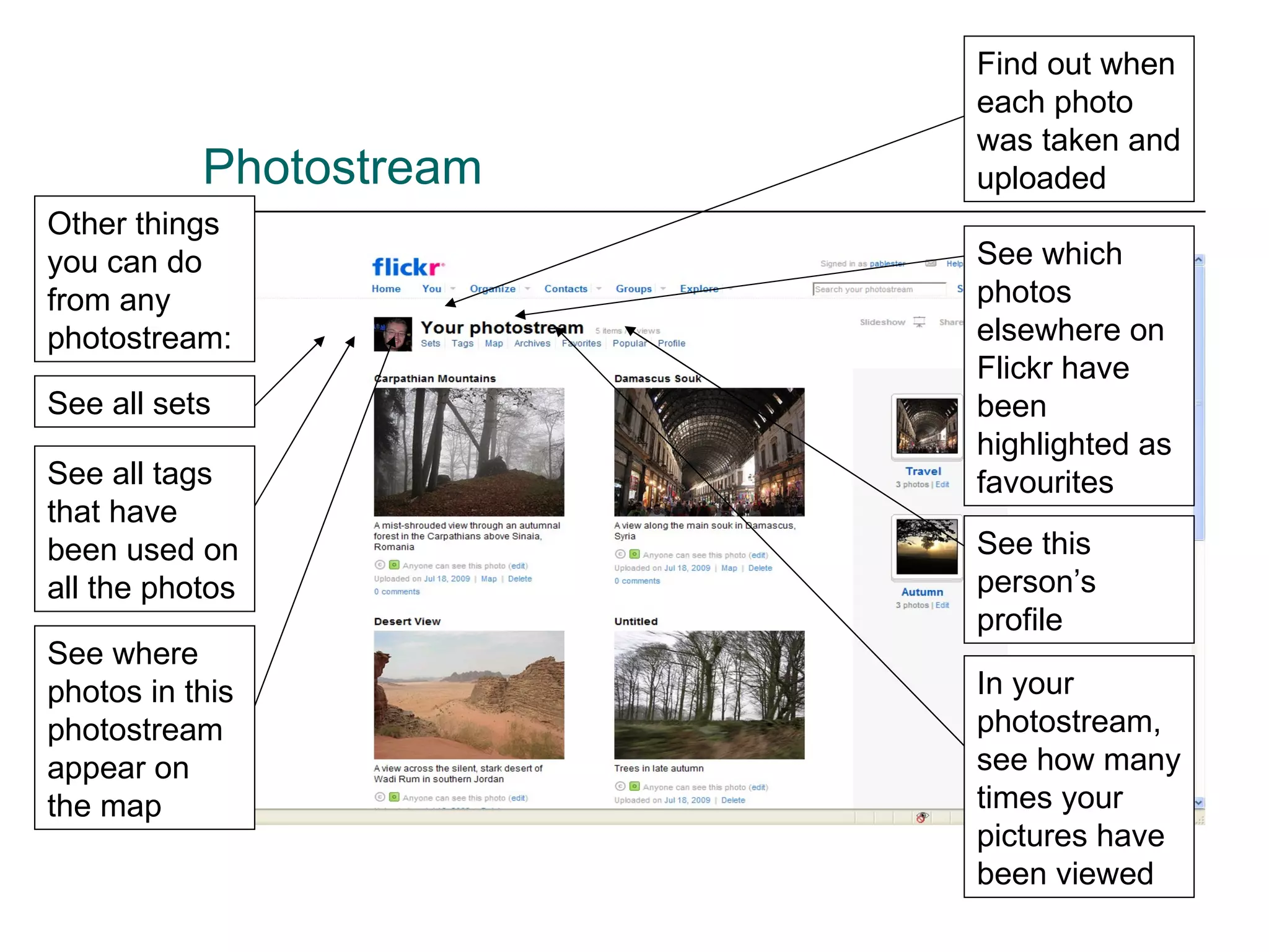 Photostream Other things you can do from any photostream: See all sets See all tags that have been used on all the photos See where photos in this photostream appear on the map Find out when each photo was taken and uploaded See which photos elsewhere on Flickr have been highlighted as favourites In your photostream, see how many times your pictures have been viewed See this person’s profile 