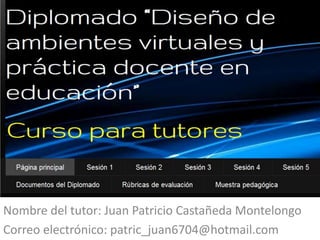Nombre del tutor: Juan Patricio Castañeda Montelongo
Correo electrónico: patric_juan6704@hotmail.com
 