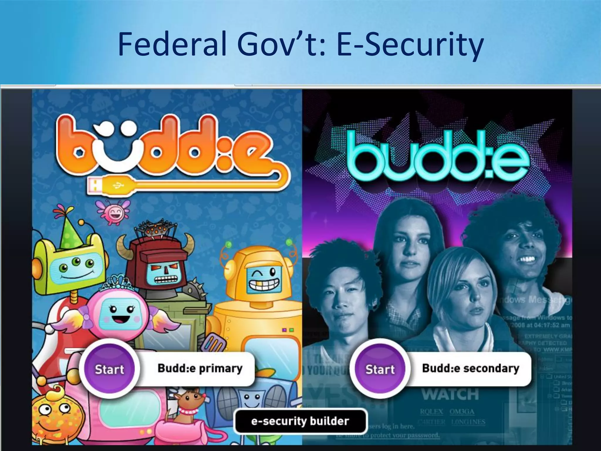 Federal Gov’t: E-Security
 