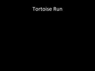 Tortoise Run 