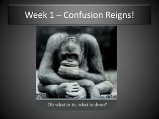 Week 1 – Confusion Reigns!