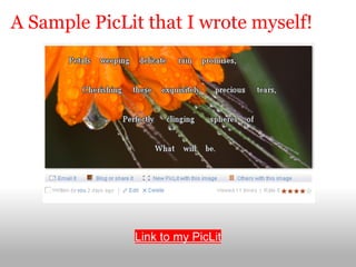 A Sample PicLit that I wrote myself!




              Link to my PicLit
 