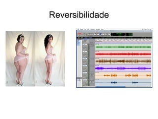 Reversibilidade
 