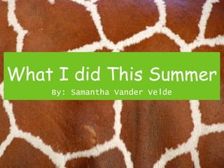 What I did This Summer
By: Samantha Vander Velde

 