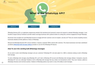 What is the WhatsApp API?