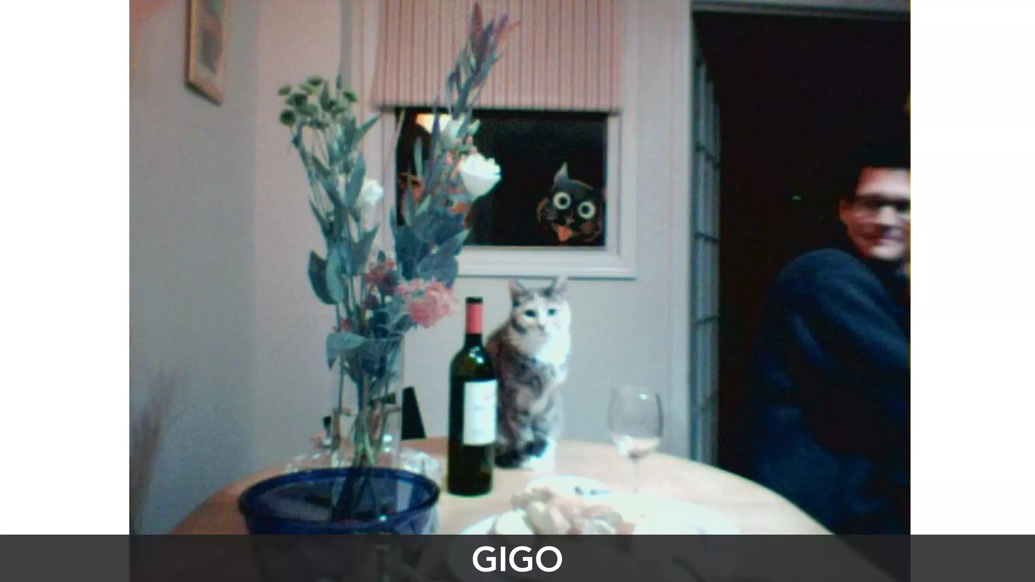 GIGO 
 