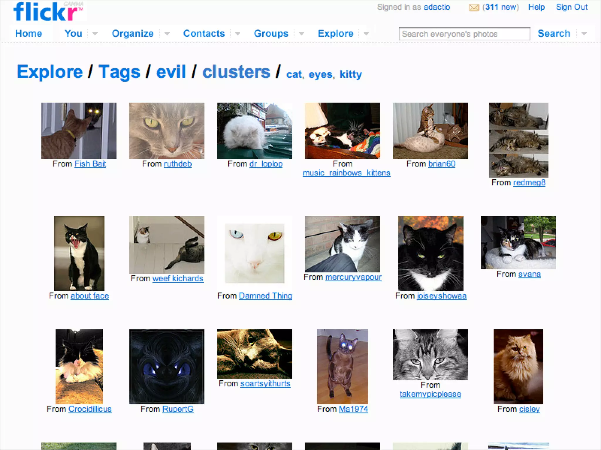 How to Bluff Your Way in Web 2.0