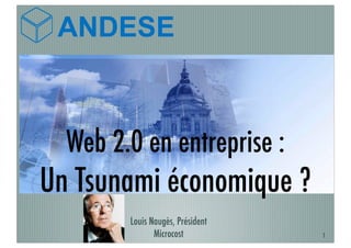 ANDESE



  Web 2.0 en entreprise :
Un Tsunami économique ?
        Louis Naugès, Président
               Microcost          1