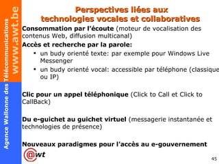 Perspectives liées aux technologies vocales et collaboratives  Consommation par l’écoute  (moteur de vocalisation des contenus Web, diffusion multicanal) Accès et recherche par la parole: un budy orienté texte: par exemple pour Windows Live Messenger un budy orienté vocal: accessible par téléphone (classique ou IP) Clic pour un appel téléphonique  ( Click to Call et Click to CallBack) Du e-guichet au guichet virtuel  (messagerie instantanée et technologies de présence) Nouveaux paradigmes pour l’accès au e-gouvernement 