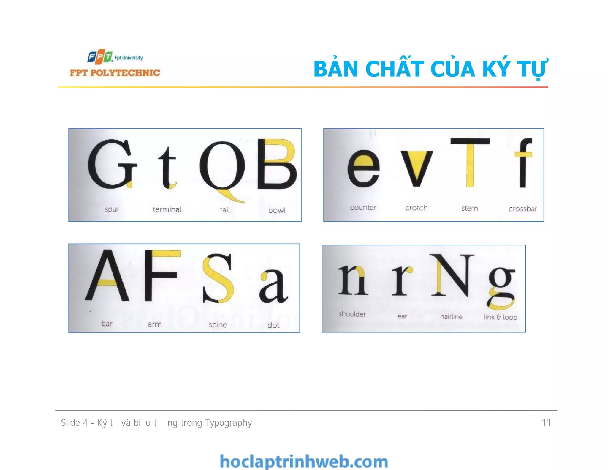 BẢN CHẤT CỦA KÝ TỰ
Slide 4 - Ký tự và biểu tượng trong Typography 11
 