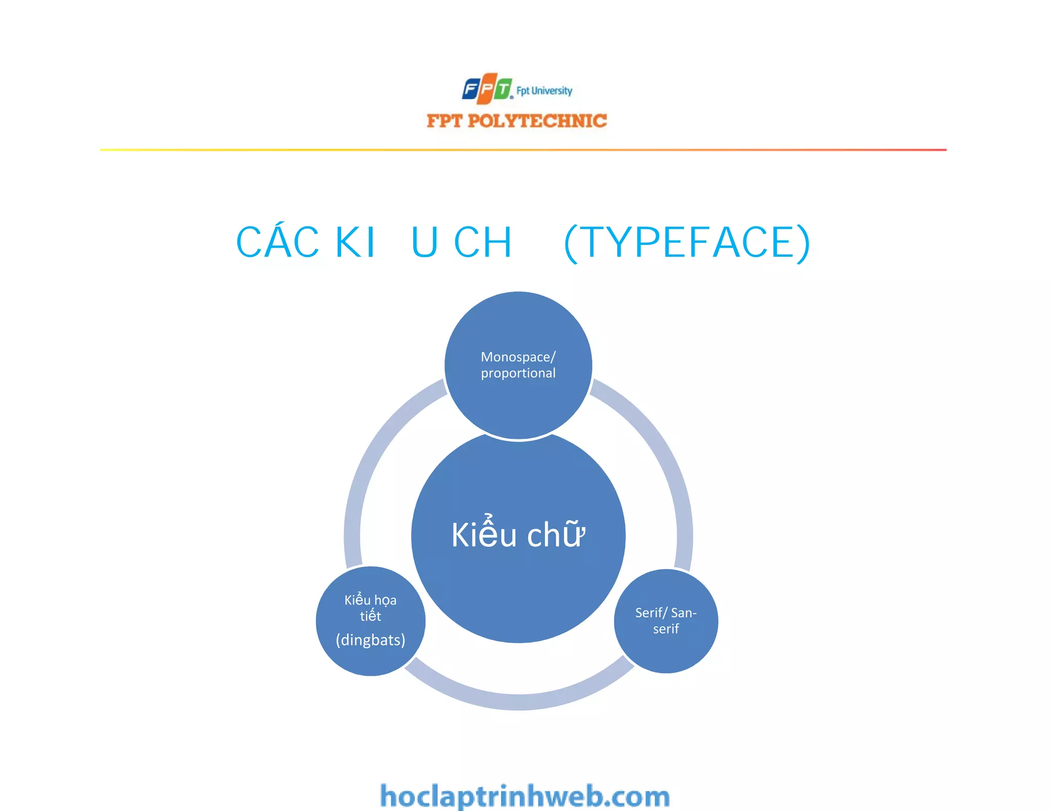 CÁC KIỂU CHỮ (TYPEFACE)
Monospace/
proportional
Kiểu chữ
Serif/ San-
serif
Kiểu họa
tiết
(dingbats)
 