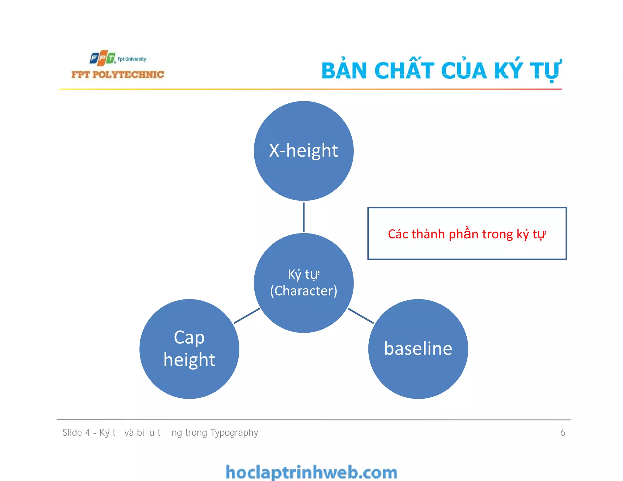 BẢN CHẤT CỦA KÝ TỰ
X-height
Các thành phần trong ký tự
Ký tự
(Character)
baseline
Cap
height
Slide 4 - Ký tự và biểu tượng trong Typography 6
Các thành phần trong ký tự
 