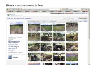 Picasa   – armazenamento de fotos 