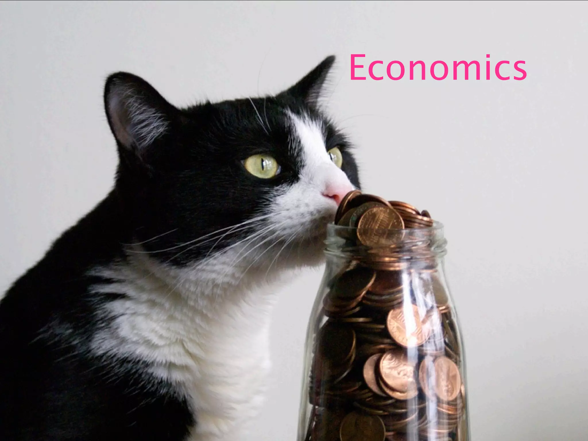 Capacity Planning for Web Operations - Web20 Expo 2008