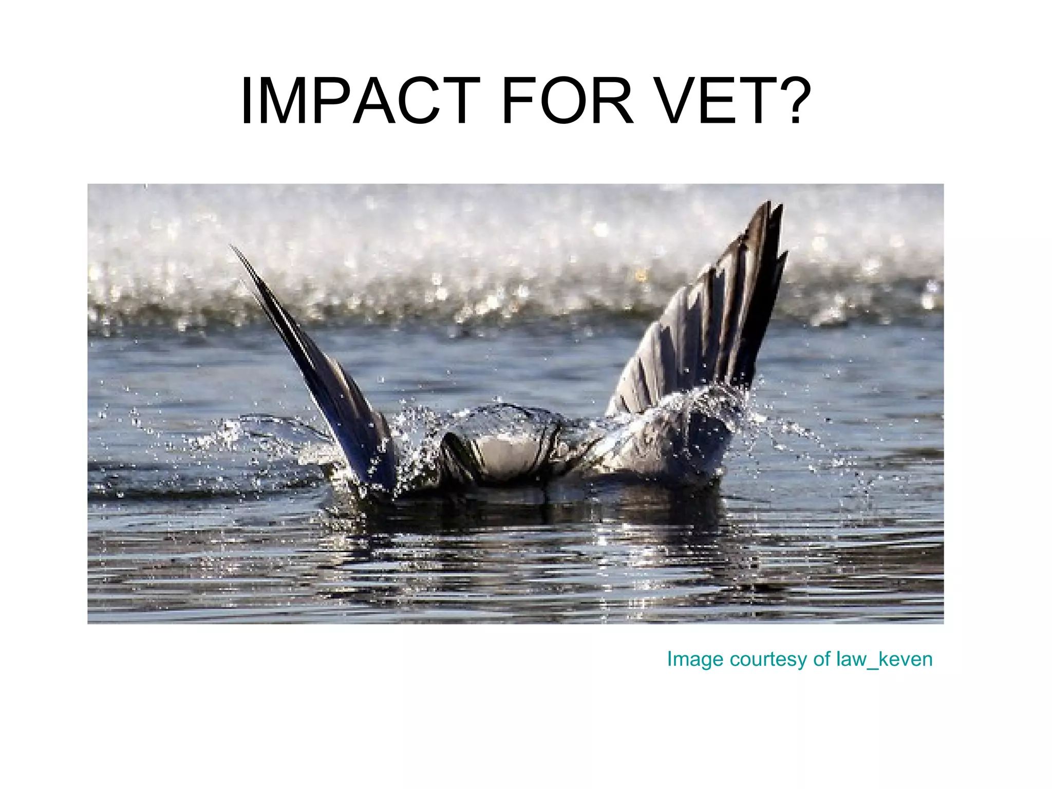 IMPACT FOR VET? Image courtesy of  law_keven 