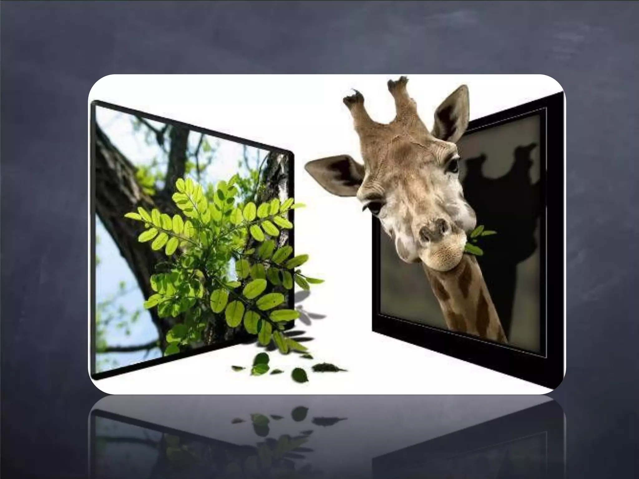 web2.0 Trends Updated - March 2008