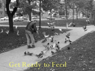 Get Ready to Feed 