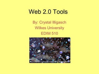 Web 2.0 Tools
   By: Crystal Illigasch
    Wilkes University
        EDIM 510




http://www.flickr.com/photos/oceanflynn/6638184545/sizes/zWeb
 