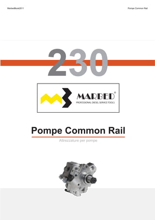 Pompe Common RailPompe Common Rail
Attrezzature per pompeAttrezzature per pompe
MarbedBook2011 Pompe Common Rail
 