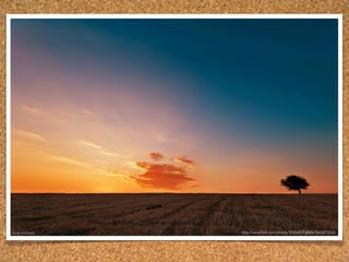 http:/
     /www.ﬂickr.com/photos/33284937@N04/5445675024/
 