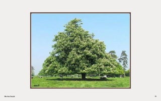 We Are SocialWe Are Social 19
 