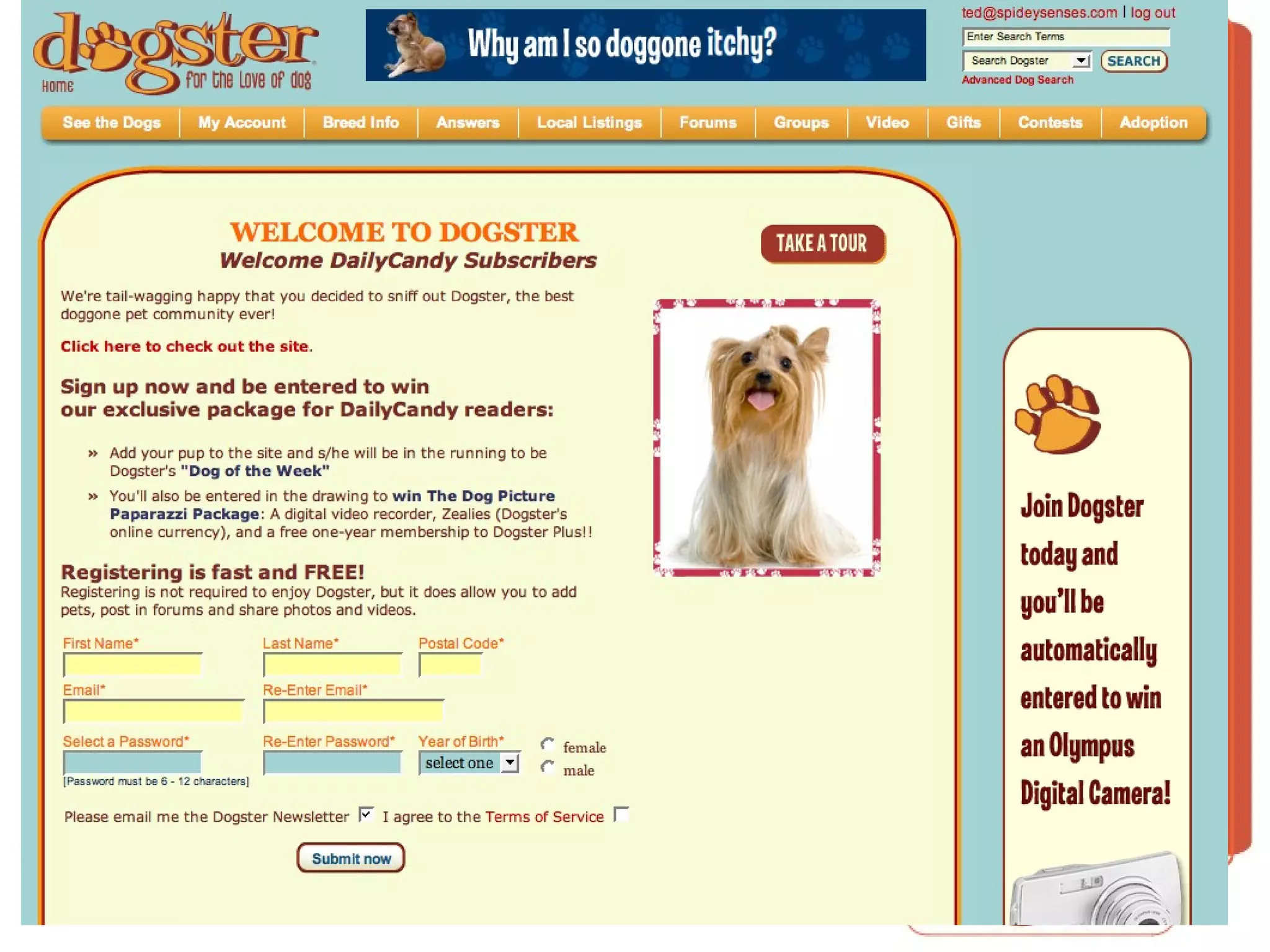 LANDING PAGE Daily Candy 