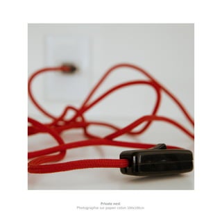 Private nest
Photographie sur papier coton 100x100cm

 