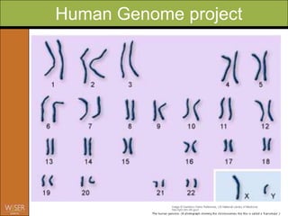 Human Genome project
 