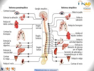 “Educación para todos con calidad global”
 