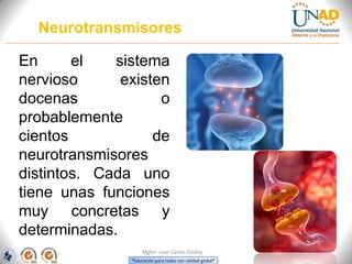 “Educación para todos con calidad global”
Mgter. Juan Carlos Godoy
En el sistema
nervioso existen
docenas o
probablemente
cientos de
neurotransmisores
distintos. Cada uno
tiene unas funciones
muy concretas y
determinadas.
Neurotransmisores
 