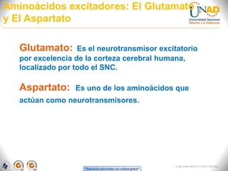 “Educación para todos con calidad global”
FI-GQ-OCMC-004-015 V. 000-27-08-2011
Aminoácidos excitadores: El Glutamato
y El Aspartato
Glutamato: Es el neurotransmisor excitatorio
por excelencia de la corteza cerebral humana,
localizado por todo el SNC.
Aspartato: Es uno de los aminoácidos que
actúan como neurotransmisores.
 