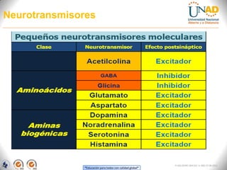 “Educación para todos con calidad global”
FI-GQ-OCMC-004-015 V. 000-27-08-2011
Neurotransmisores
 