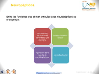 “Educación para todos con calidad global”
FI-GQ-OCMC-004-015 V. 000-27-08-2011
Neuropéptidos
mecanismos
nerviosos del
aprendizaje y la
memoria
comportamiento
sexual
regulación de la
ingesta de
comida y bebida
control del dolor
Entre las funciones que se han atribuido a los neuropéptidos se
encuentran:
 