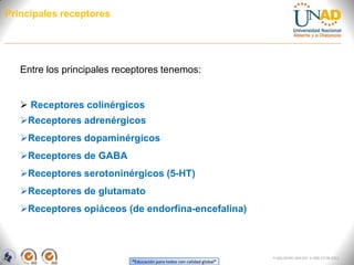 “Educación para todos con calidad global”
FI-GQ-OCMC-004-015 V. 000-27-08-2011
Principales receptores
Entre los principales receptores tenemos:
 Receptores colinérgicos
Receptores adrenérgicos
Receptores dopaminérgicos
Receptores de GABA
Receptores serotoninérgicos (5-HT)
Receptores de glutamato
Receptores opiáceos (de endorfina-encefalina)
 
